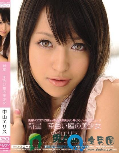 中山艾莉丝(中山エリス)关于她的作品番号封面大汇总