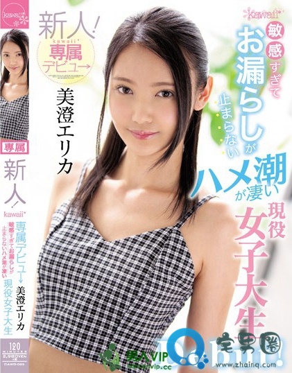 美澄惠梨香2019番号大全 美澄エリカ作品类型和上映时间